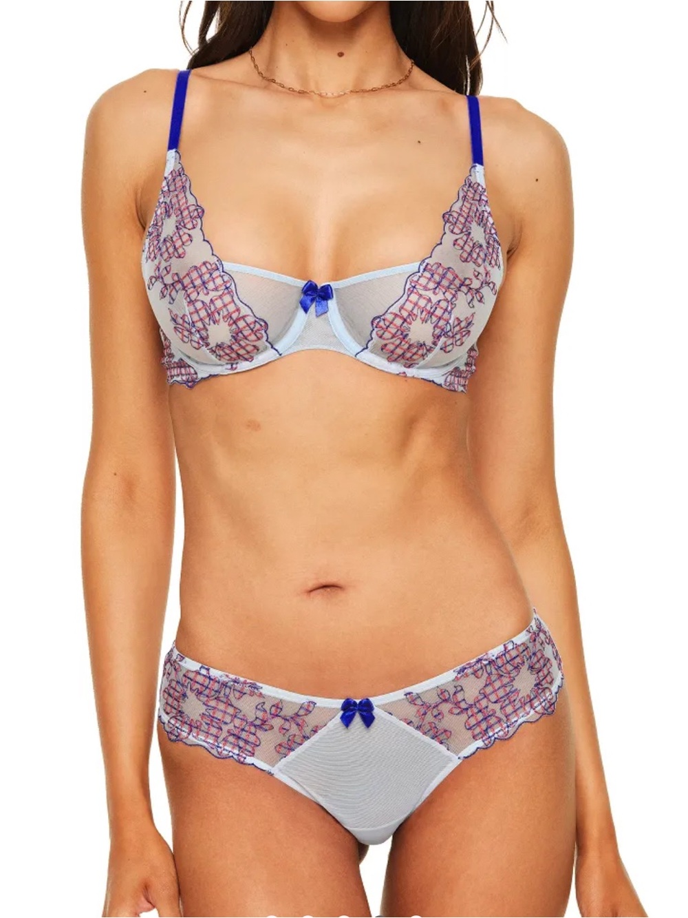 NWT Sheer Lace Underwire Bra & Brief Set - Blue
